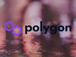 Polygon integra protocolo Mina