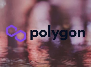 Polygon integra protocolo Mina
