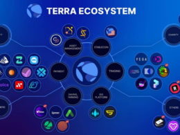 Plataforma Terra y cómo empezar a usarla