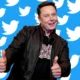 Las acciones de Twitter cayeron después de los comentarios de Elon Musk